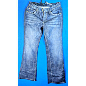 James Jeans Women's Size 28 Blue Denim Flare Leg Jeans Dark Wash